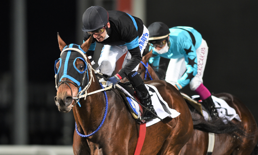 Long Runner’ın sahibi kim?